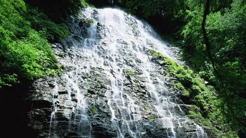 科技高端