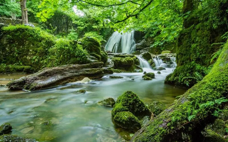 科技可靠性科技